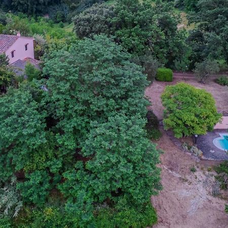 La Casa Nel Bosco Villa Lari Kültér fotó
