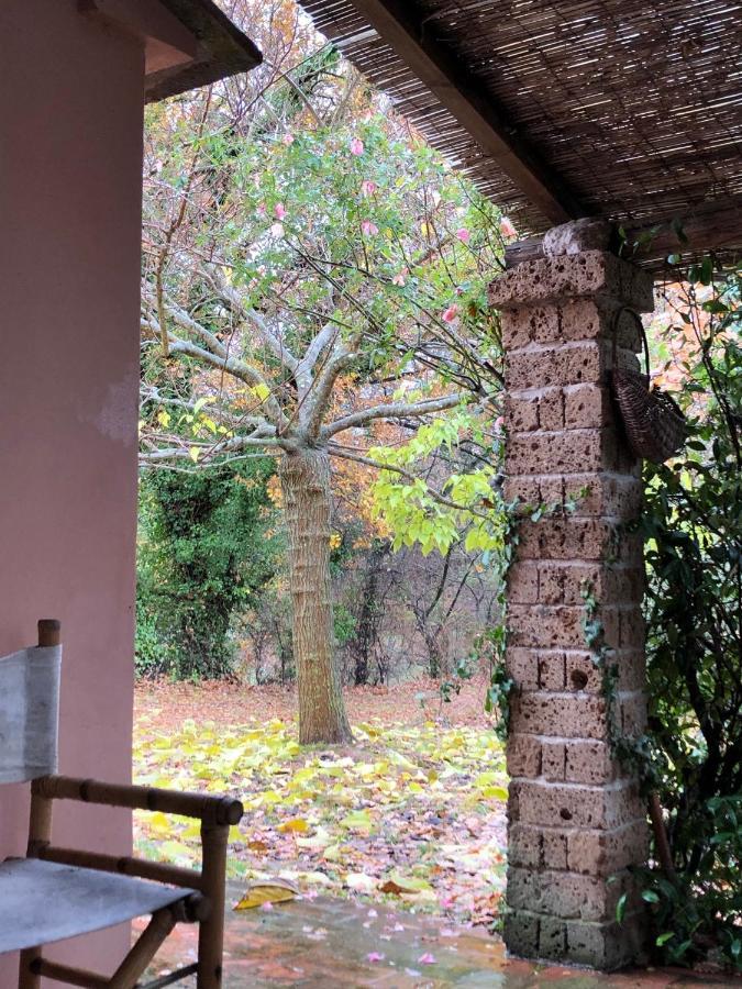La Casa Nel Bosco Villa Lari Kültér fotó