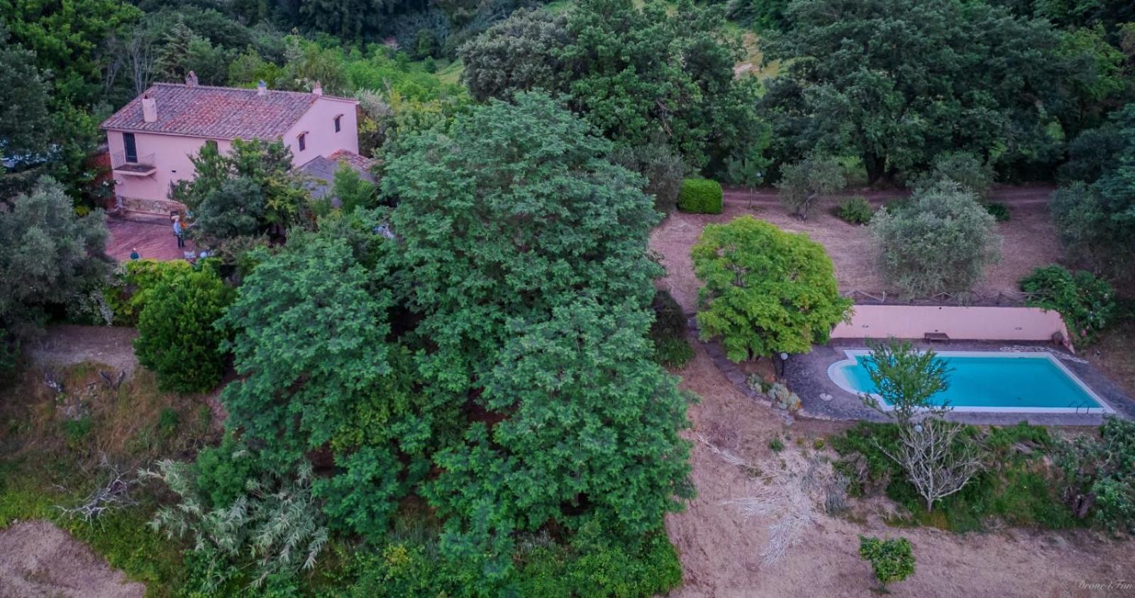 La Casa Nel Bosco Villa Lari Kültér fotó